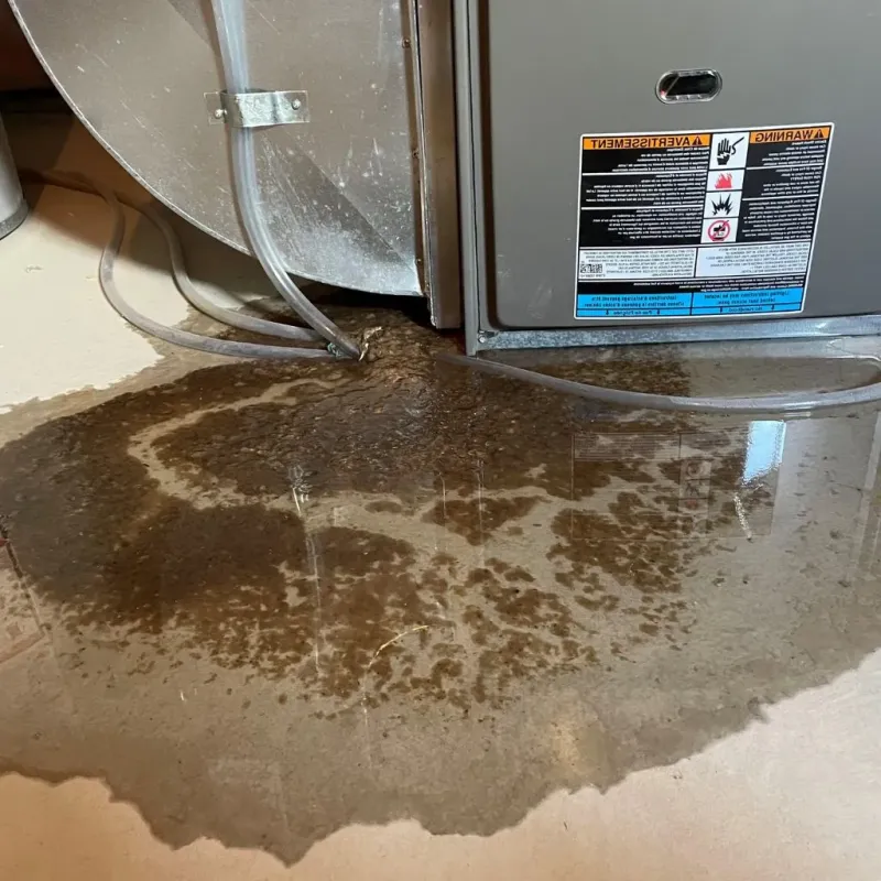 Pipe Burst and Leak Restoration in Austin, TX