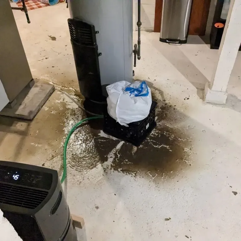 Sewage Backup Cleanup Service in Austin, TX